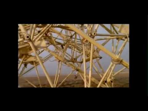 My creations, a new form of life | Theo Jansen