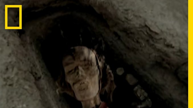 Tech-Smart Mummies? | Explorer