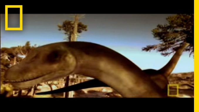 Digging Up a Dinosaur Graveyard | National Geographic
