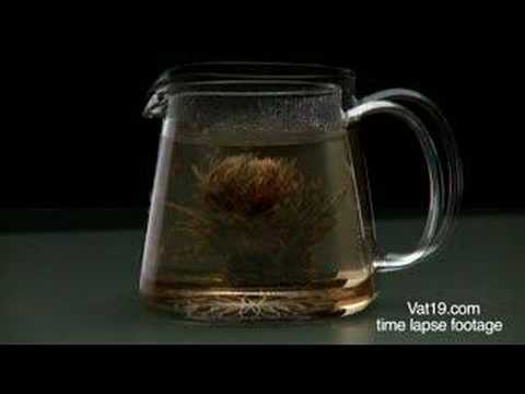 Teaposy Blooming Tea Gift Set