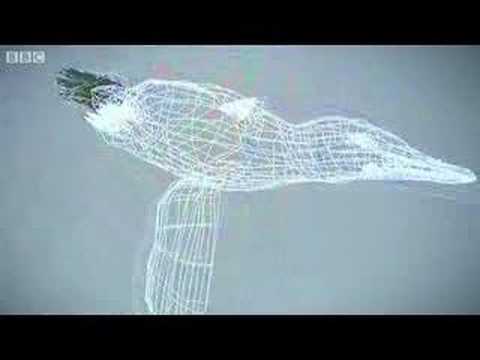 Penguins April Fool – The Making Of – BBC