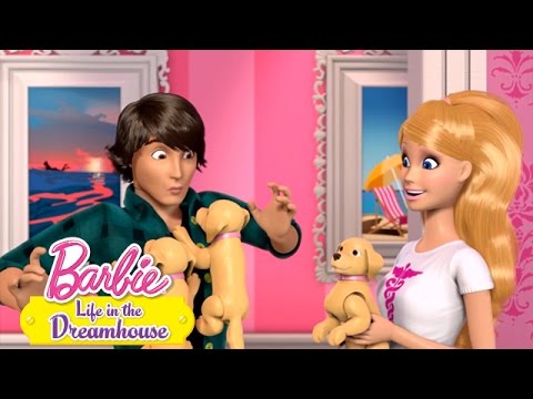 Puppy’s in Overvloed | @Barbie