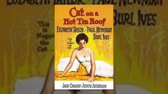 Cat on a Hot Tin Roof