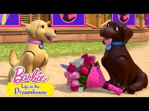 Geen hond die wint |@Barbie