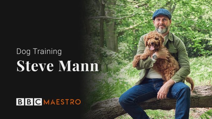 Introducing: Dog Training with Steve Mann – BBC Maestro