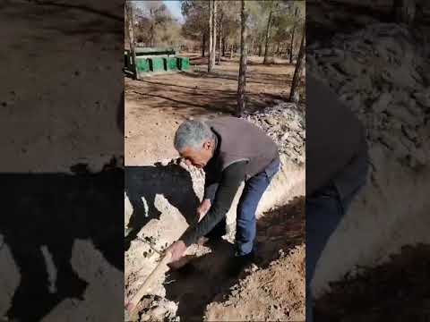 La forêt de sidi Maafa… entre hier et aujourd’hui