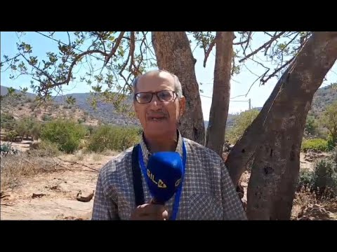 يسى عبد الواحد عرض فني: إبراز الجمالية الطبيعية للمنطقة من خلال اللوحات التشكيلية