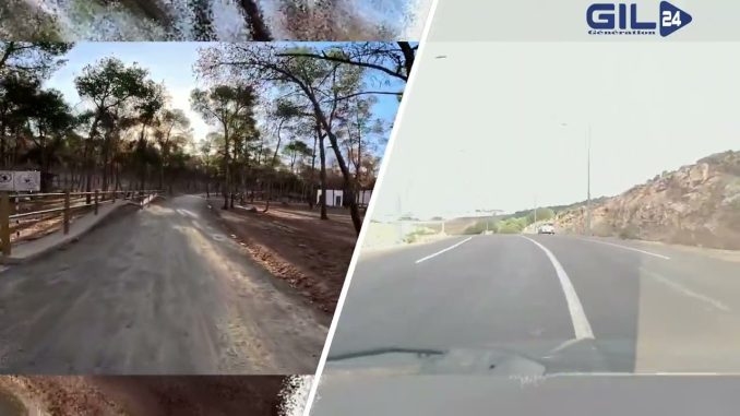 حوار بيئي: تهيئة غابة سيدي معافة في وجدة بين الطموح والتحديات